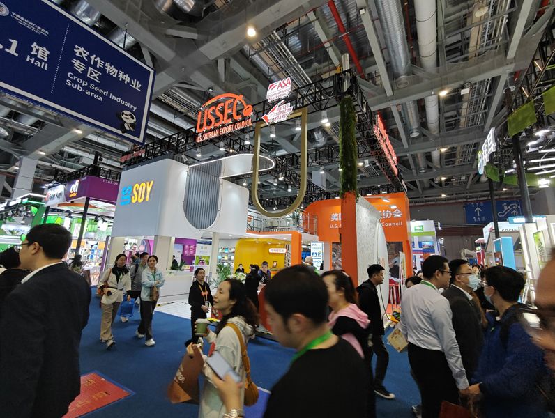 新加坡展台设计搭建