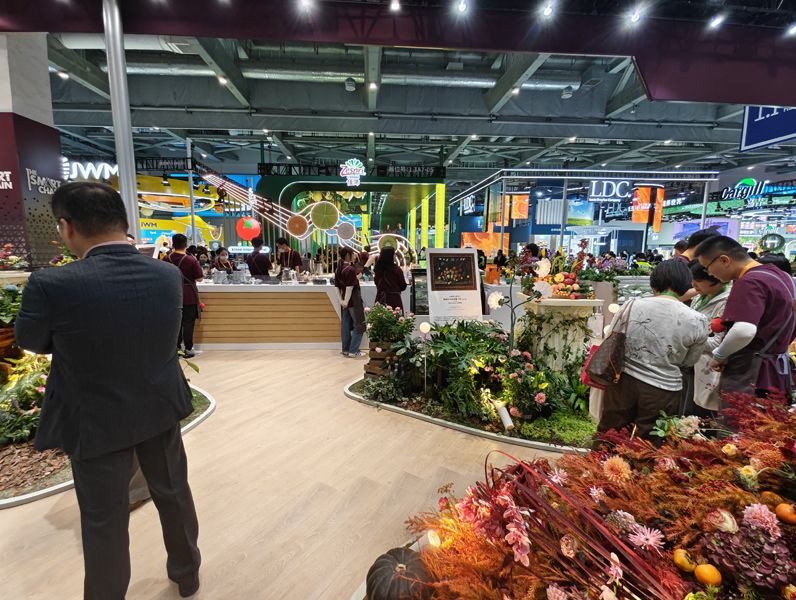 坦桑尼亚展台设计搭建